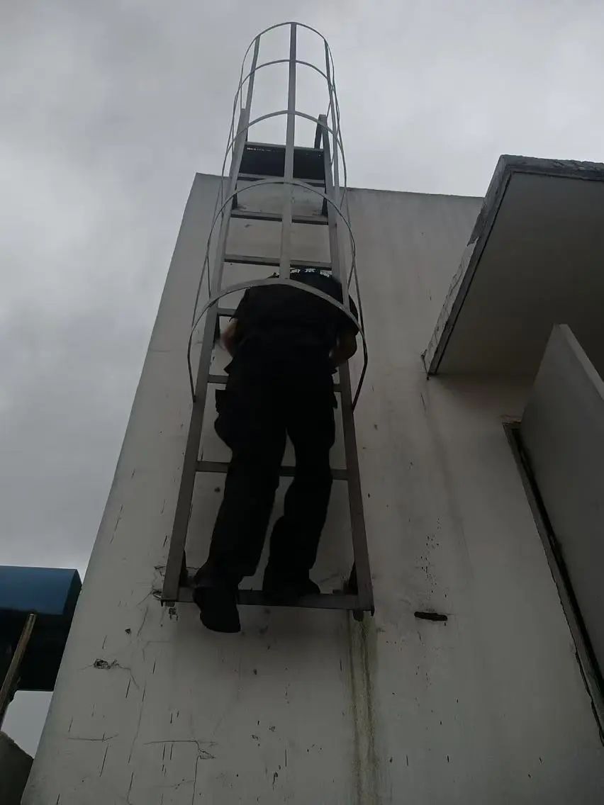 C:/Users/BA/Desktop/風(fēng)雨過后南京保安迅速行動，恢復(fù)安“寧”面貌/3.jpg3