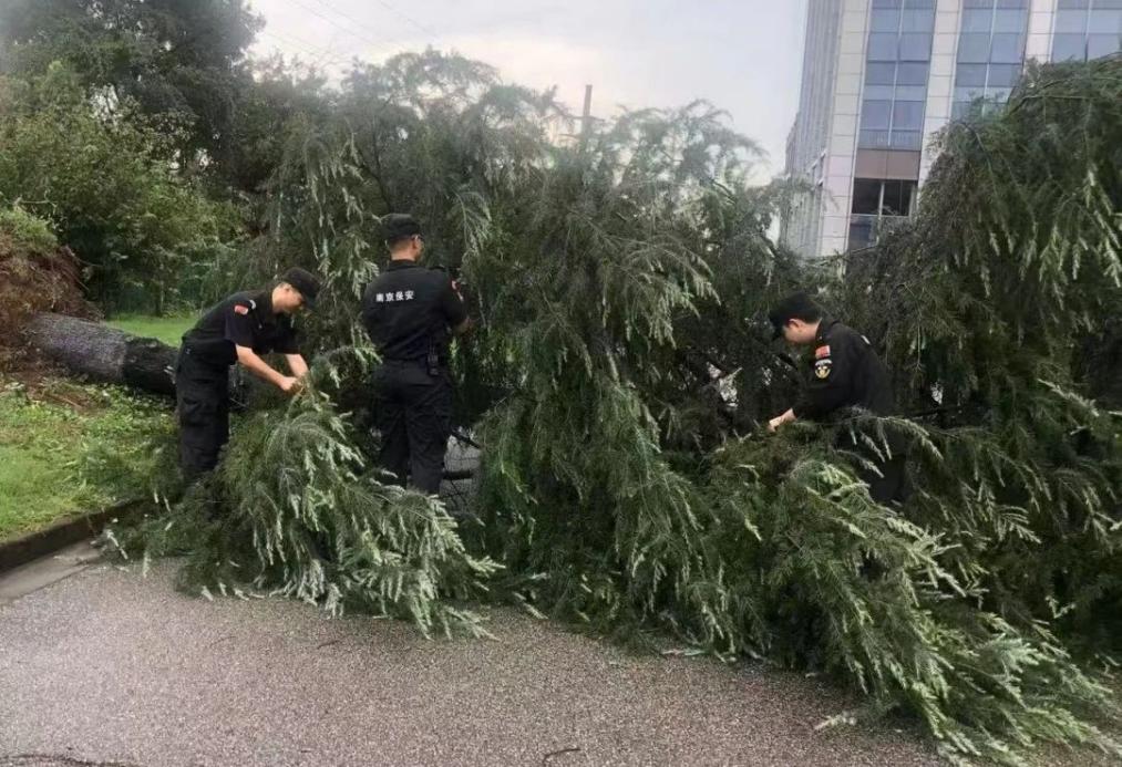 C:/Users/BA/Desktop/風(fēng)雨過后南京保安迅速行動，恢復(fù)安“寧”面貌/1.jpg1